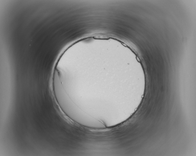 X0000110861296200907161349