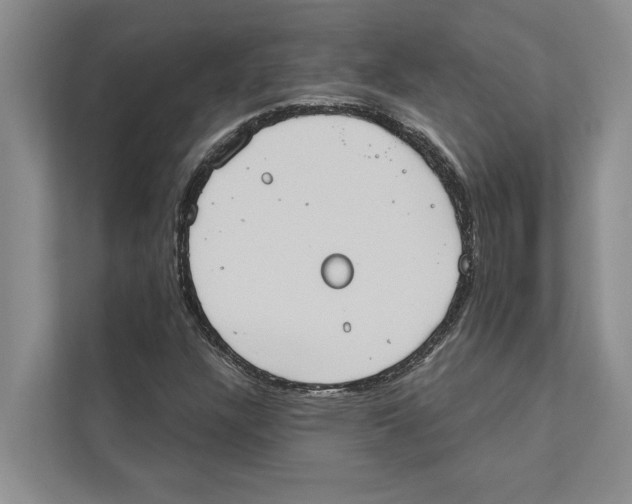 X0000110861304200907161348