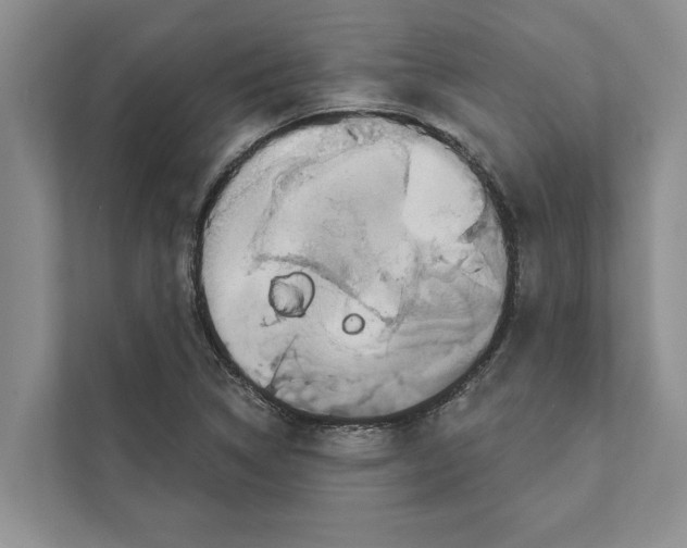 X0000110861314200907161348