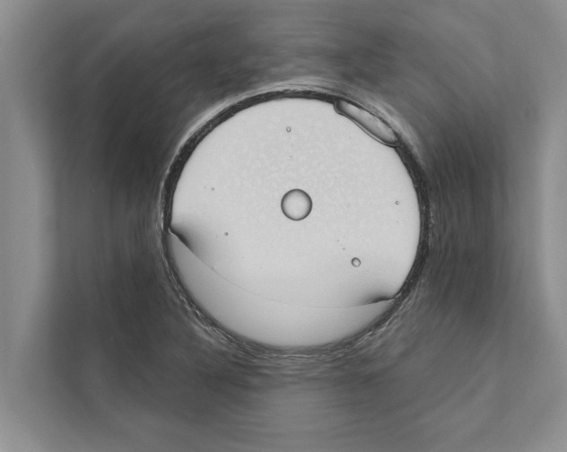 X0000110861316200907161348