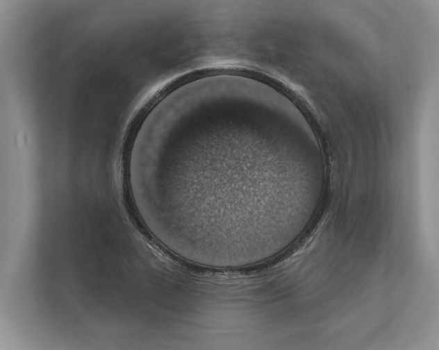 X0000110861319200907161348