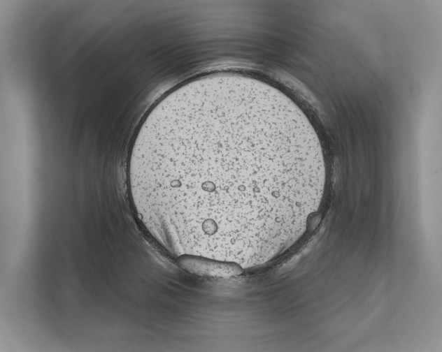X0000110861321200907161349