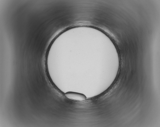 X0000110861325200907161349