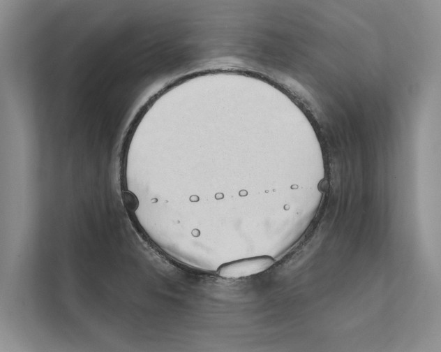 X0000110861326200907161349