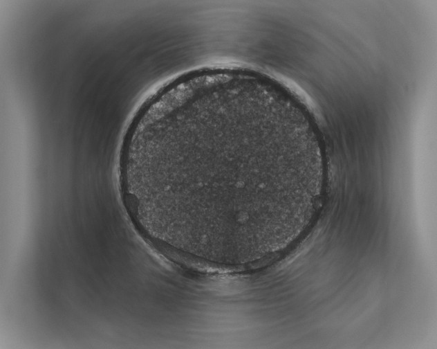 X0000110861327200907161349