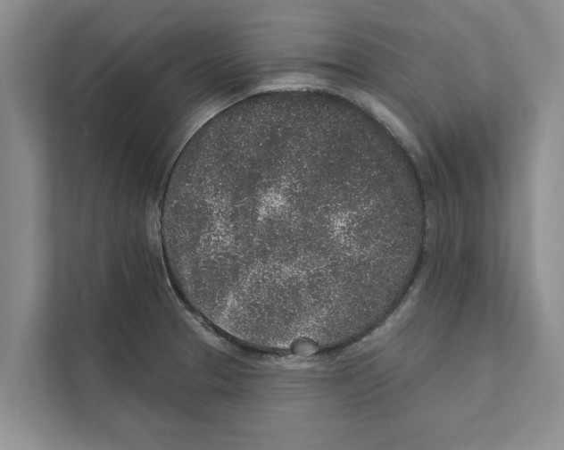X0000110861329200907161349