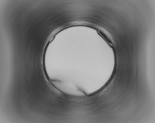 X0000110861330200907161349