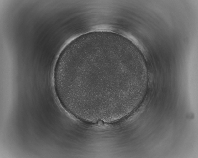 X0000110861331200907161349