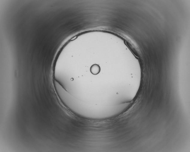 X0000110861332200907161349