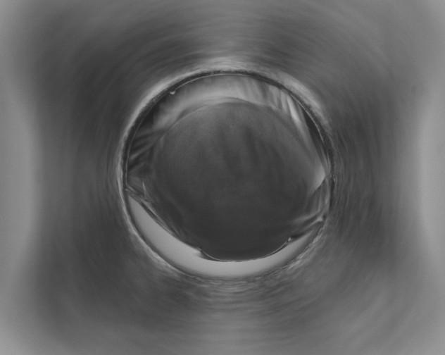 X0000110861334200907161349