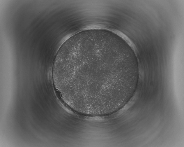 X0000110861337200907161349