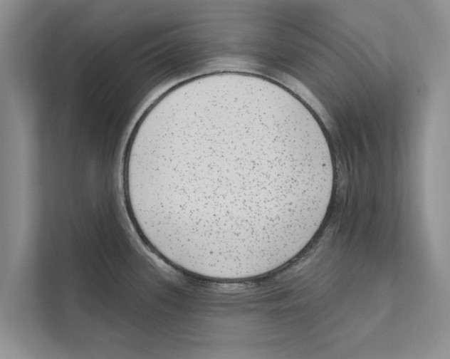 X0000110861339200907161349