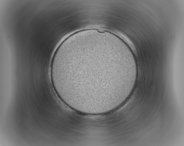 X0000110861340200907161349