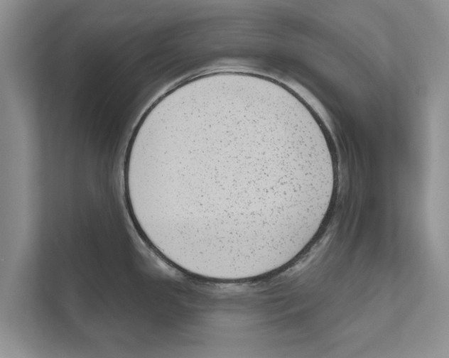 X0000110861341200907161349