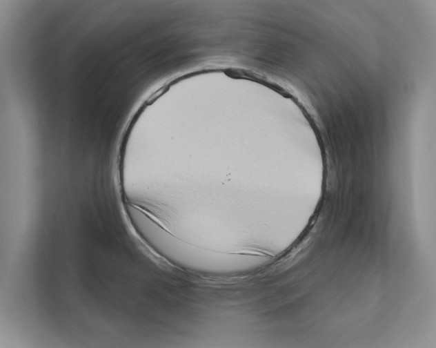 X0000110861342200907161349