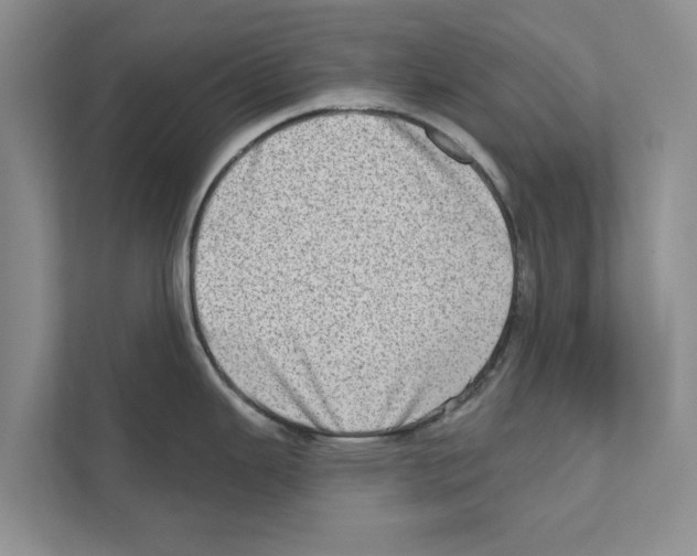 X0000110861343200907161349