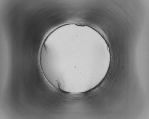 X0000110861344200907161349