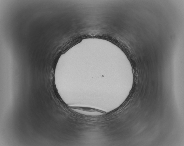 X0000110861349200907161348
