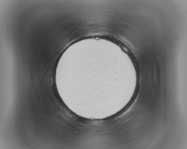 X0000110861353200907161348