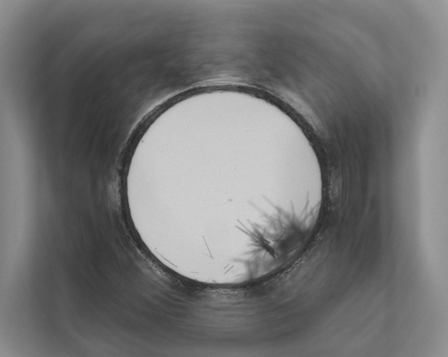 X0000110861356200907161348