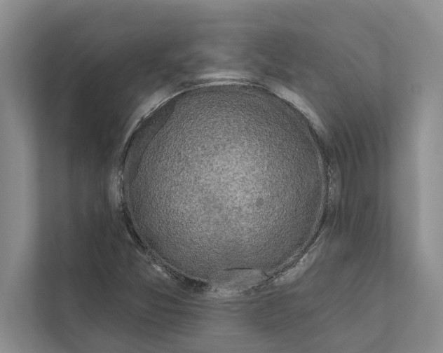 X0000110861357200907161348