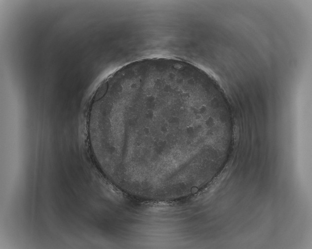 X0000110861359200907161348