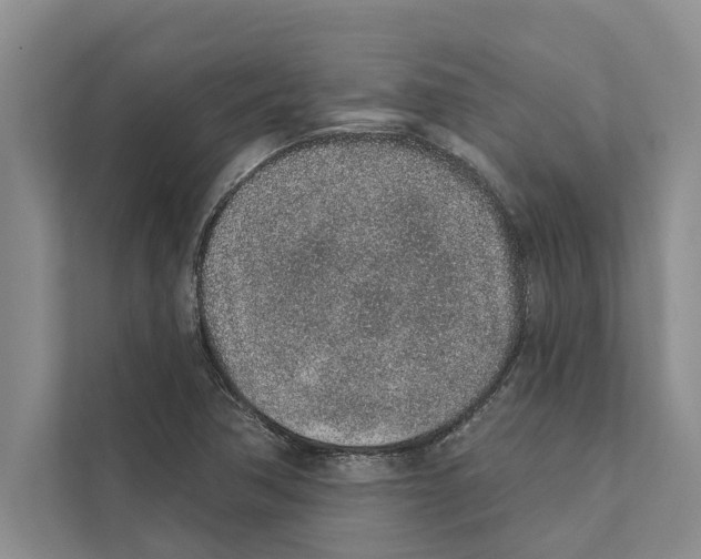 X0000110861362200907161348
