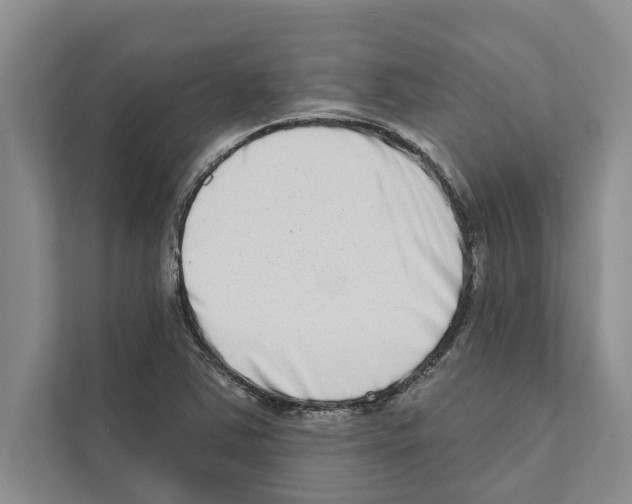 X0000110861363200907161348