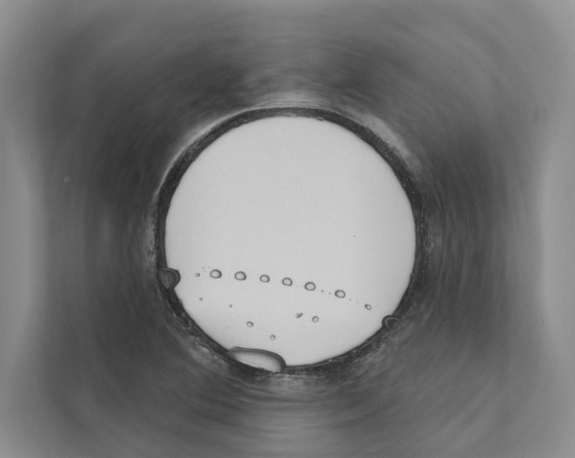 X0000110861364200907161348