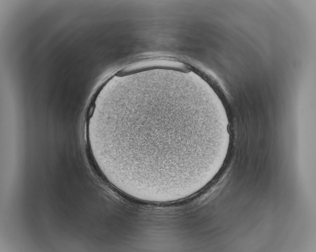X0000110861365200907161348