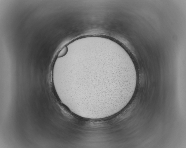 X0000110861366200907161348