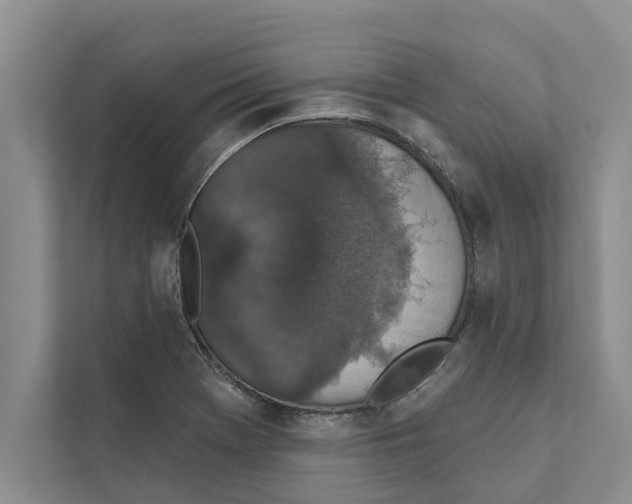 X0000110861369200907161348
