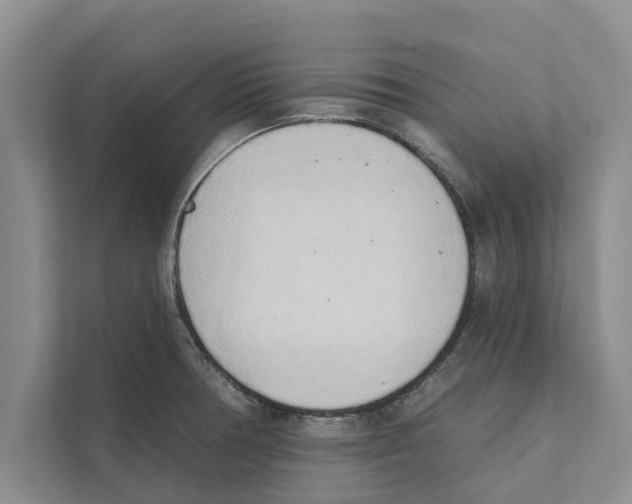 X0000110861378200907161348