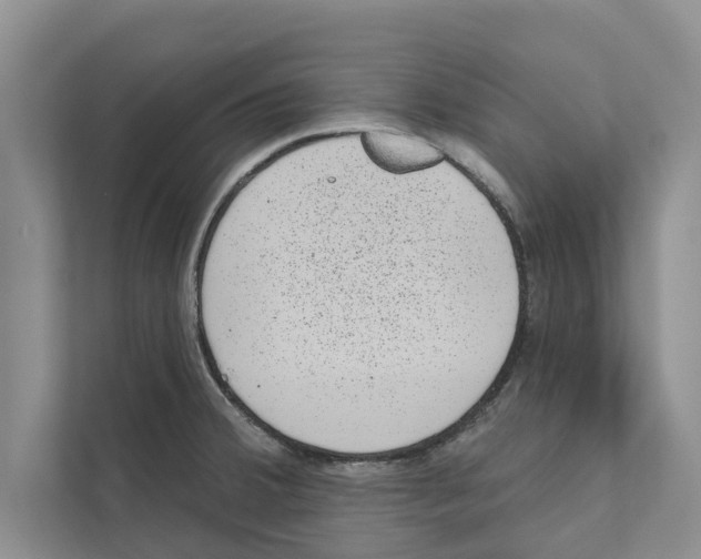 X0000110861380200907161348
