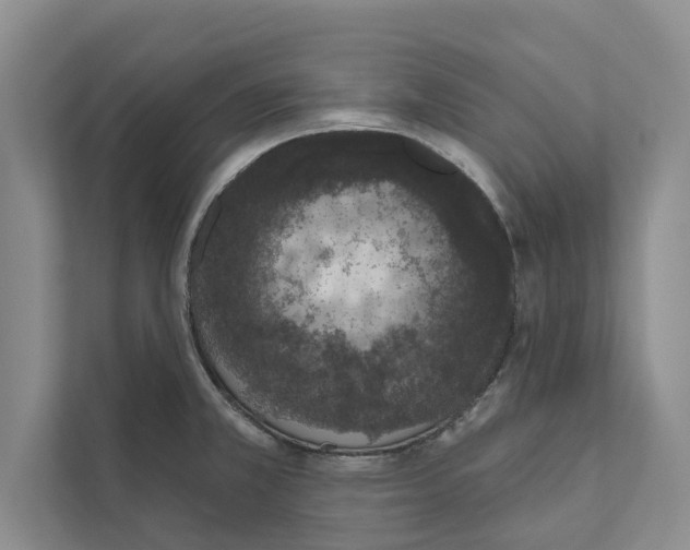 X0000110861381200907161348