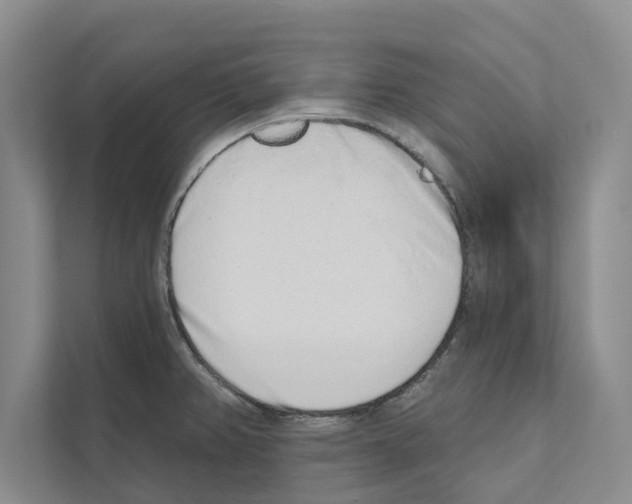 X0000110861382200907161348