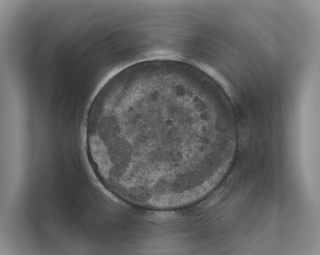 X0000110861383200907161348