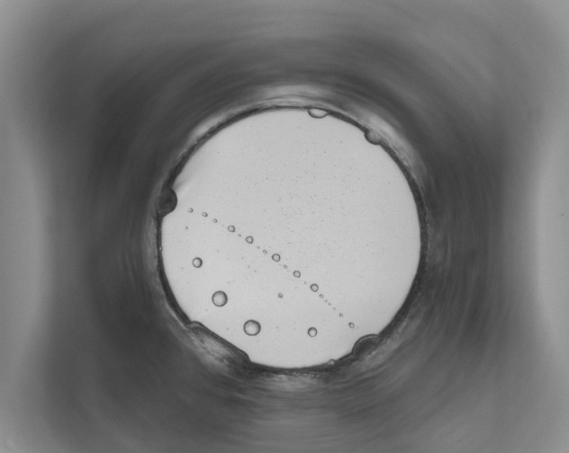 X0000110861384200907161348