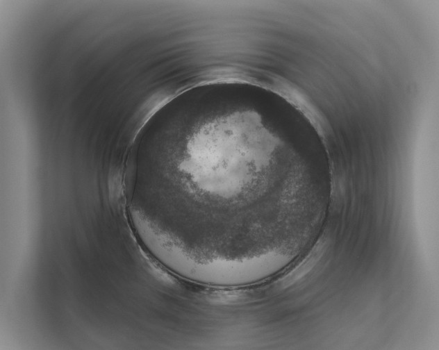 X0000110861385200907161348