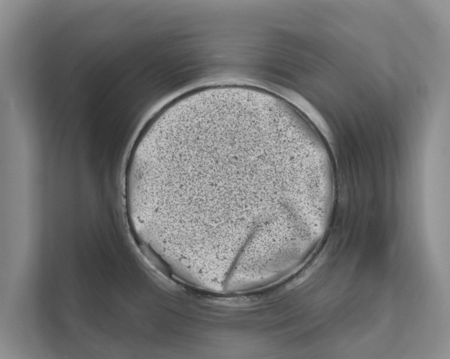 X0000110861388200907161348
