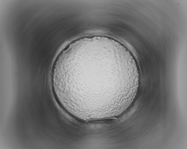 X0000110861389200907161348