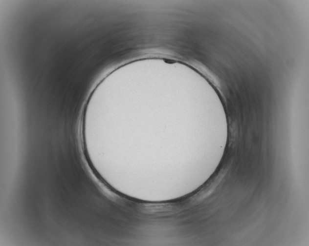 X0000110861391200907161348