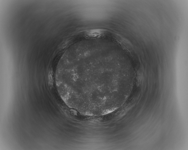 X0000110861394200907161347