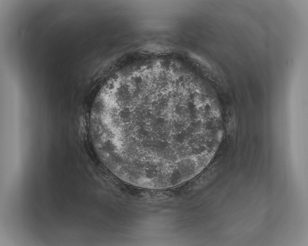 X0000110861397200907161347