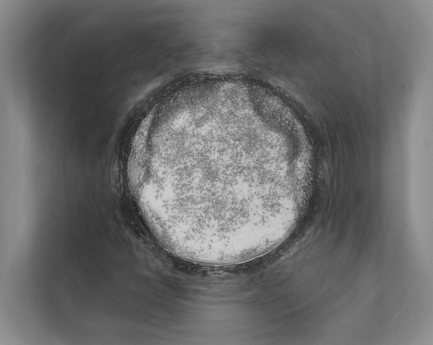 X0000110861398200907161347