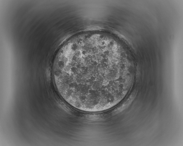 X0000110861401200907161347