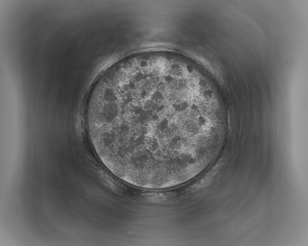 X0000110861405200907161347