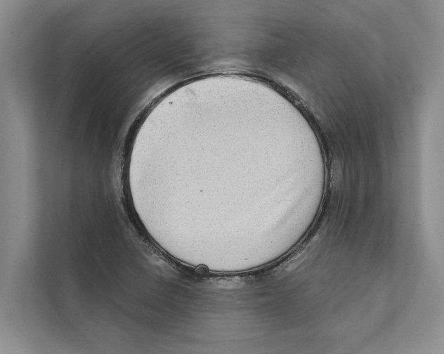 X0000110861410200907161347