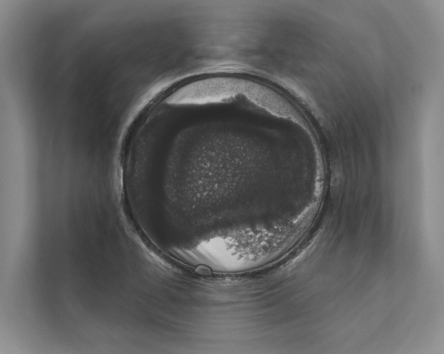 X0000110861414200907161347