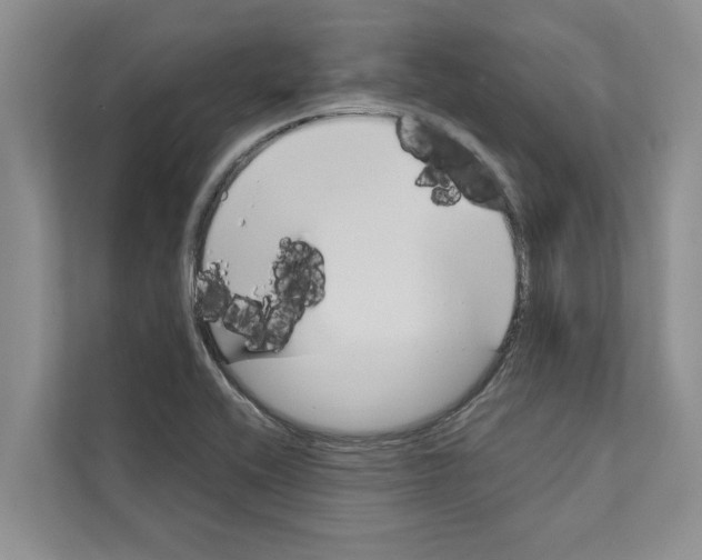 X0000110861416200907161347